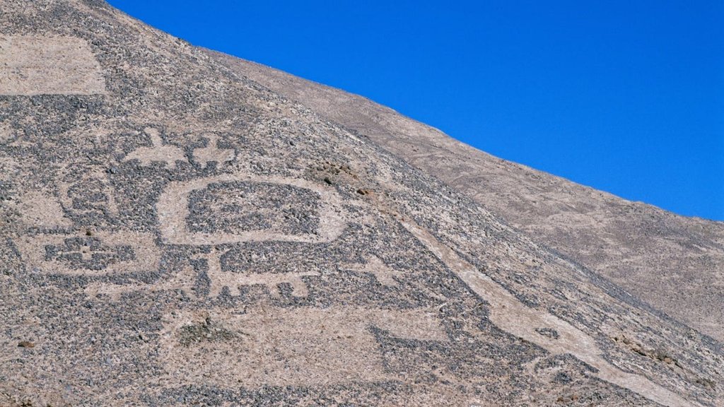 Off-road racen schaadt eeuwenoude kunst in Chili